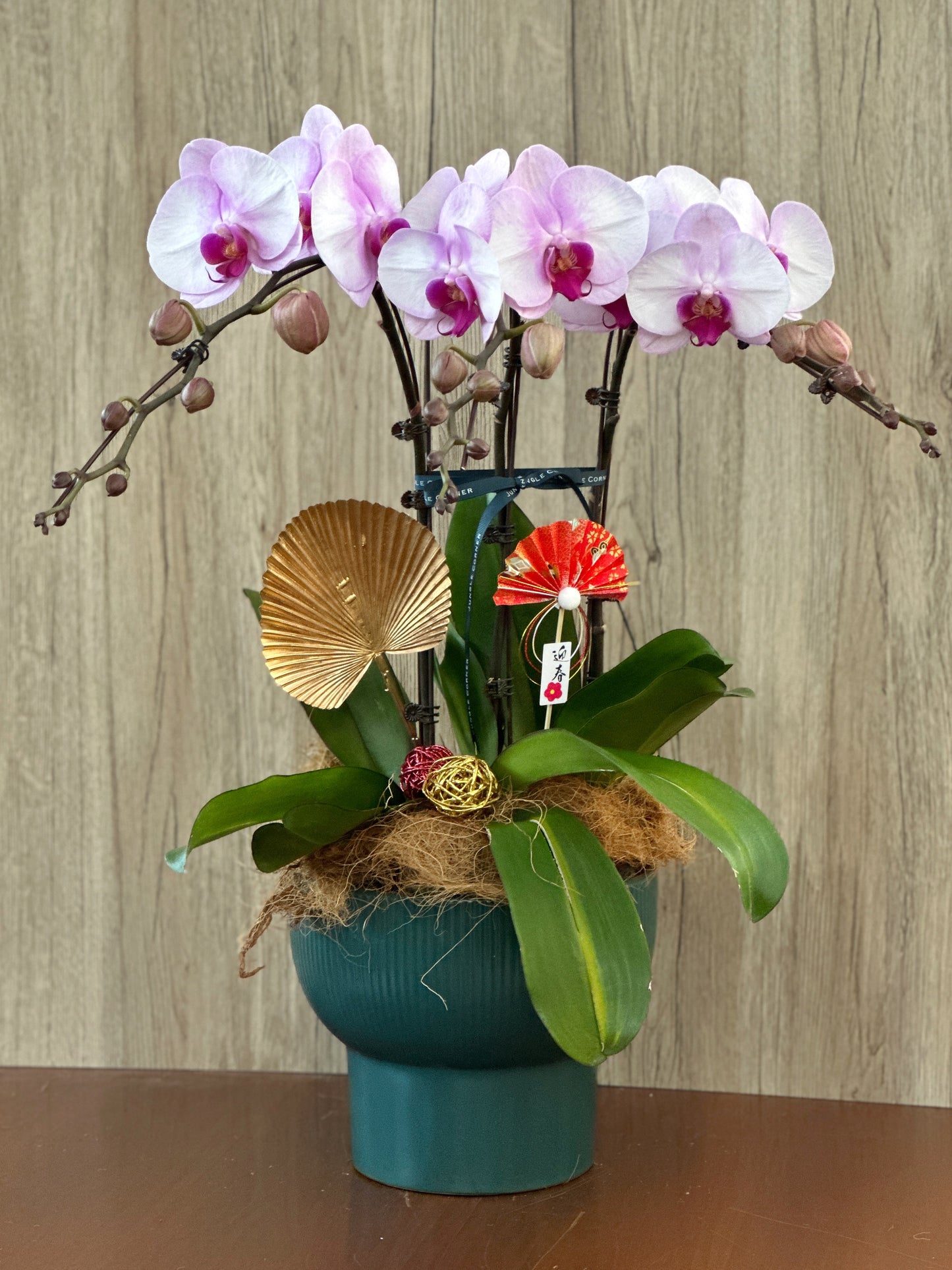 蝴蝶蘭組盆(預購)