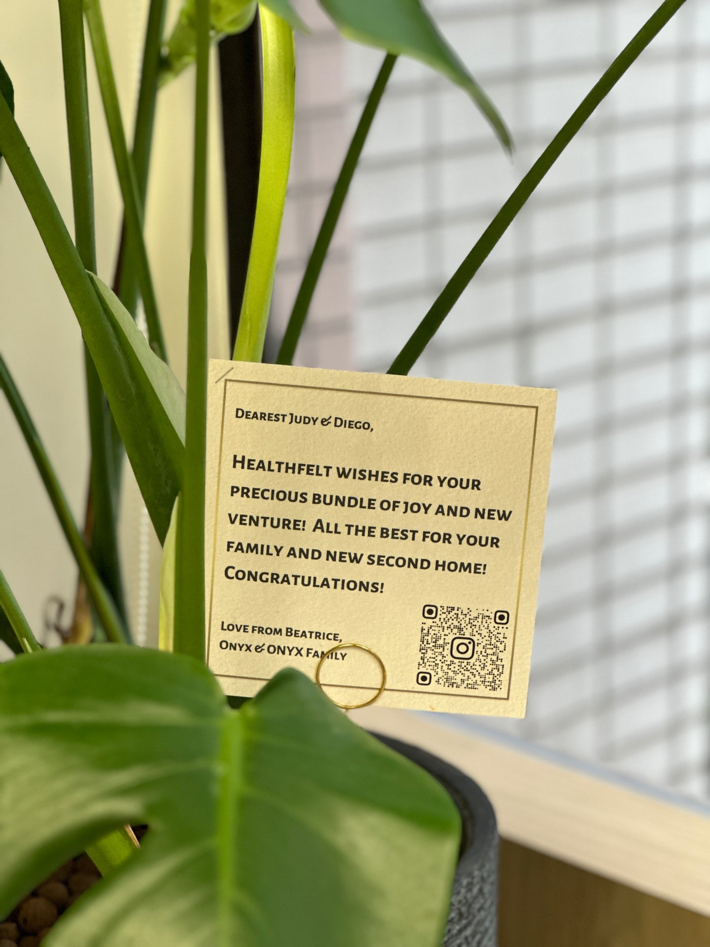 心意卡|Message Card