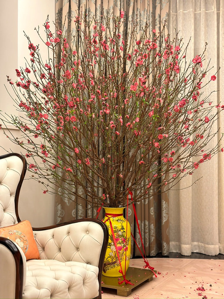賀年桃花(預購)